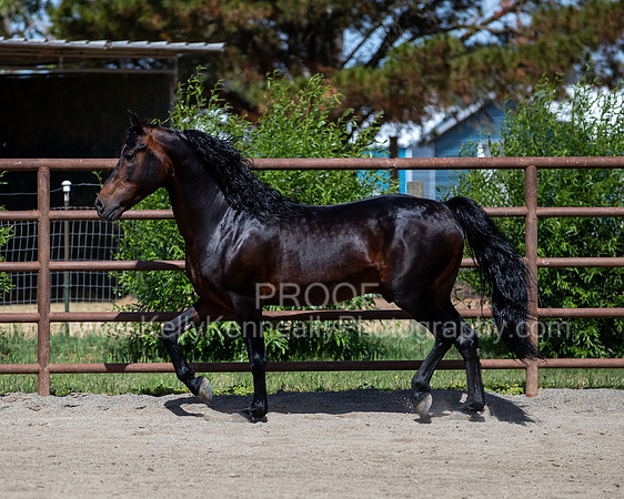 PromisesLegacy0520_0636