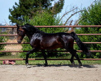PromisesLegacy0520_0643