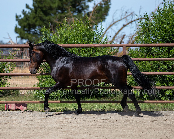 PromisesLegacy0520_0643