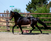 PromisesLegacy0520_0644