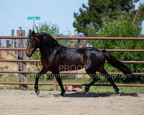 PromisesLegacy0520_0644
