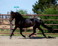 PromisesLegacy0520_0645