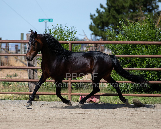 PromisesLegacy0520_0645