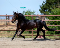 PromisesLegacy0520_0646