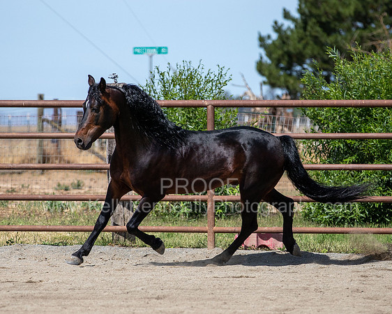 PromisesLegacy0520_0646