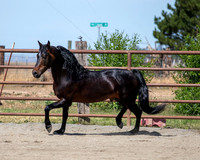 PromisesLegacy0520_0648