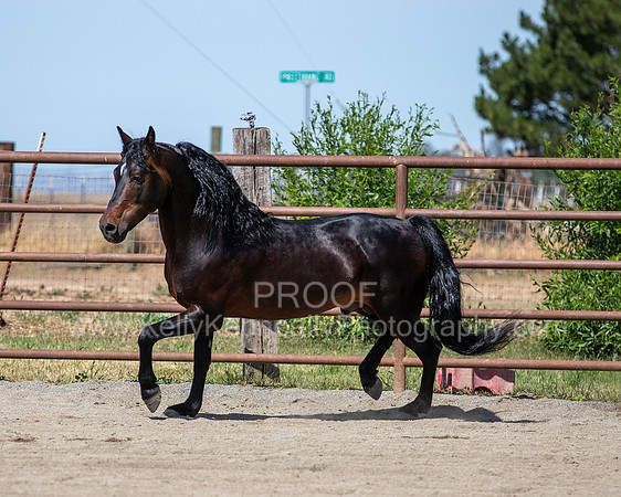 PromisesLegacy0520_0648