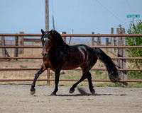 PromisesLegacy0520_0650