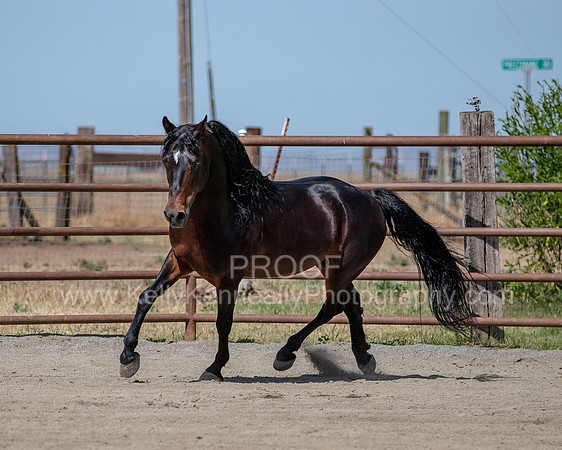 PromisesLegacy0520_0650