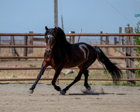 PromisesLegacy0520_0651