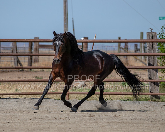 PromisesLegacy0520_0651