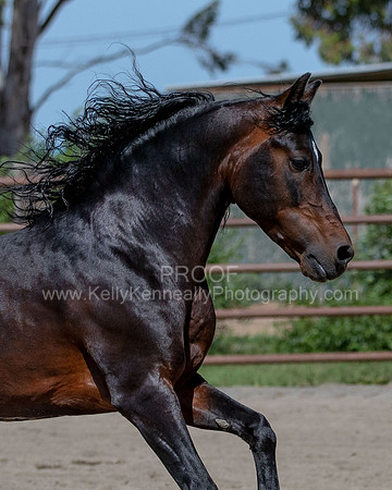 PromisesLegacy0520_0662