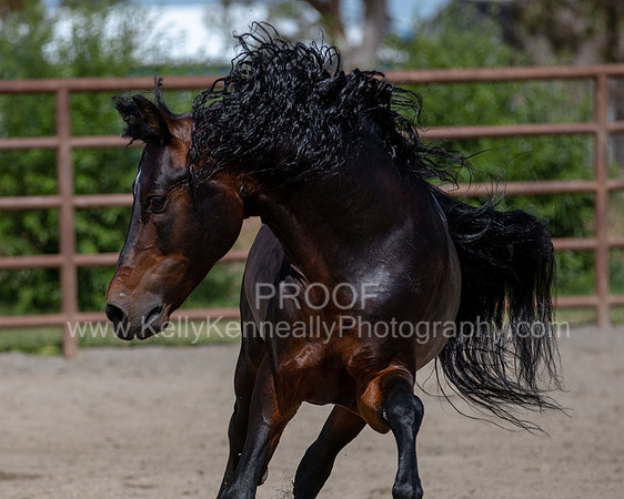 PromisesLegacy0520_0683