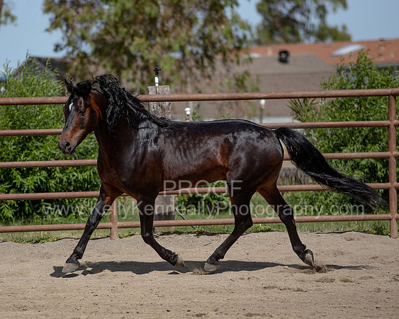 PromisesLegacy0520_0676