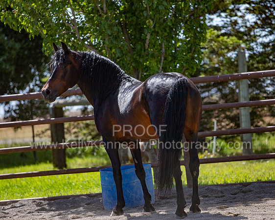 PromisesLegacy0520_0725