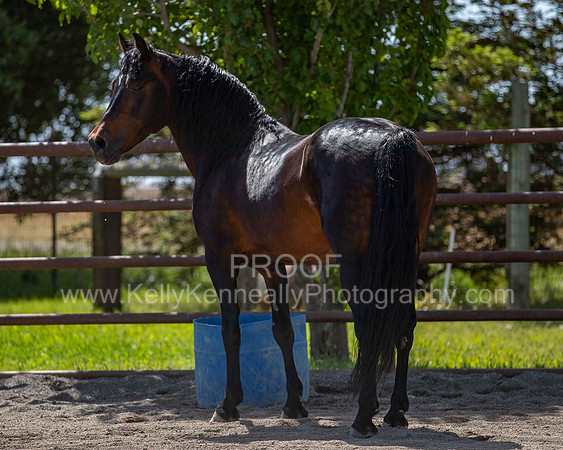 PromisesLegacy0520_0728