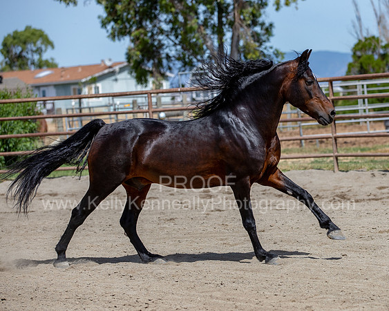 PromisesLegacy0520_0786