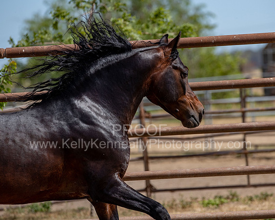 PromisesLegacy0520_0808