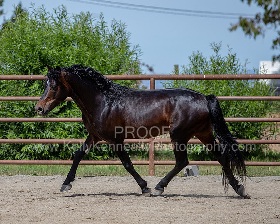 PromisesLegacy0520_0834