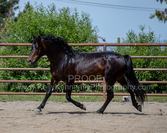 PromisesLegacy0520_0835