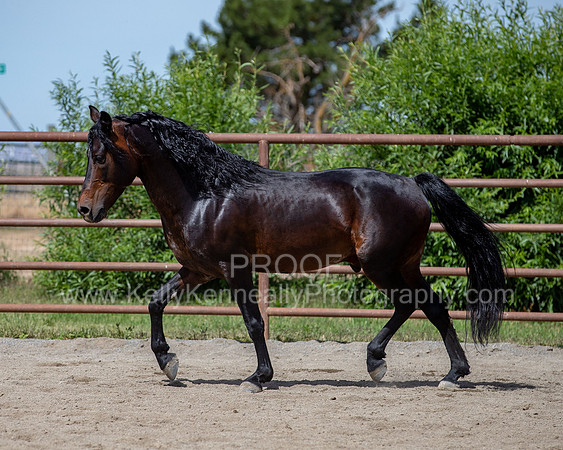 PromisesLegacy0520_0839