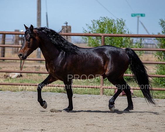 PromisesLegacy0520_0843