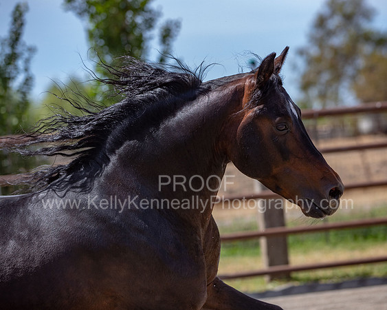 PromisesLegacy0520_0866