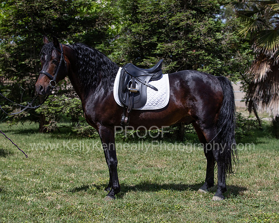 PromisesLegacy0520_1546