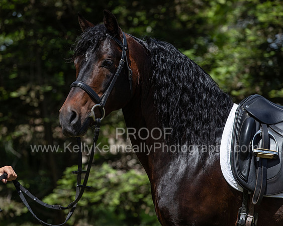 PromisesLegacy0520_1547