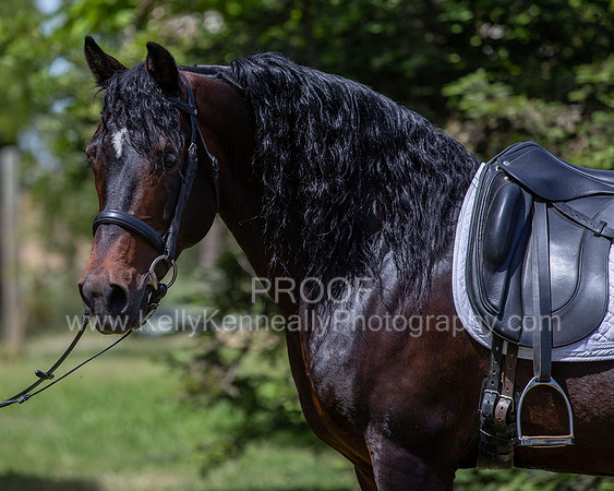 PromisesLegacy0520_1559