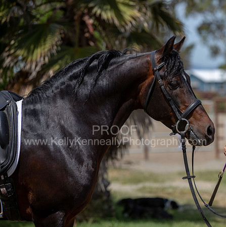 PromisesLegacy0520_1567
