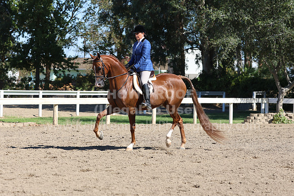 DAHA_FF22_0604