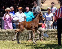 ShermanRanch0524_3142