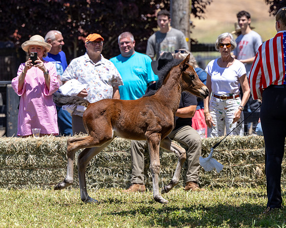 ShermanRanch0524_3142