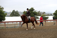 Class 68 HA/AA Hunter Pleasure Limit Horse