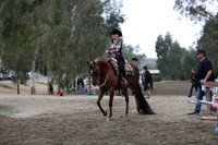 Class 76 HA/AA Western Pleasure AATR Choice/Elite