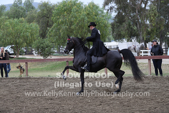 R2PS_Wed_4187