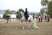 Class 83 A/HA/AA Walk Trot Saddle Seat Equitation Riders 10 & Under