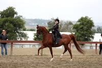 R2PS_Wed_4552