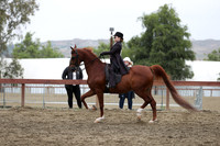 R2PS_Wed_4555
