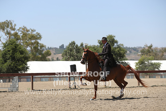 R2PS_Wed_5328
