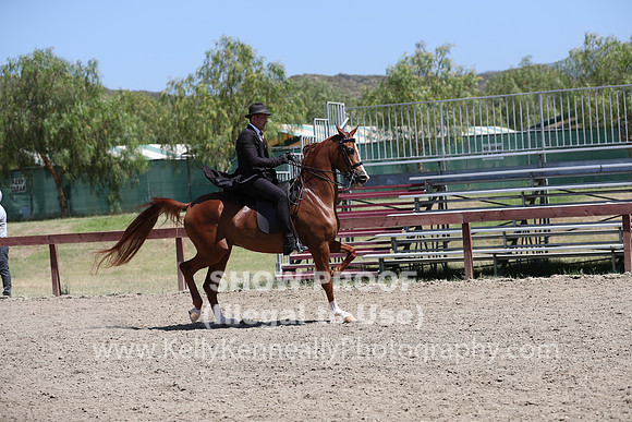 R2PS_Wed_5387