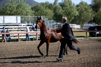 R2CH_Thurs_7893