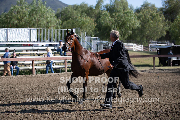 R2CH_Thurs_7893