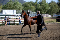 R2CH_Thurs_7894