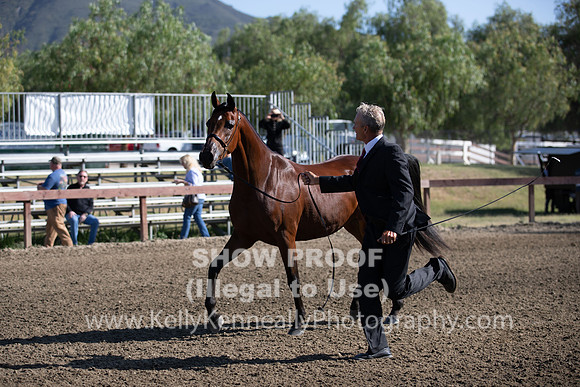 R2CH_Thurs_7894