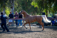 R2CH_Thurs_7902