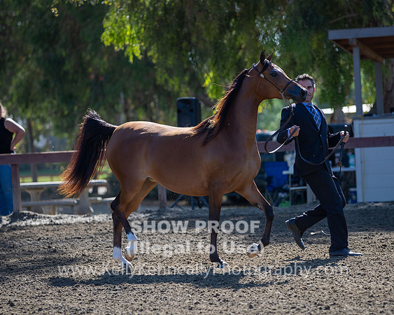 R2CH_Thurs_7917