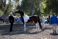 R2CH_Thurs_7939
