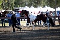 R2CH_Thurs_7946